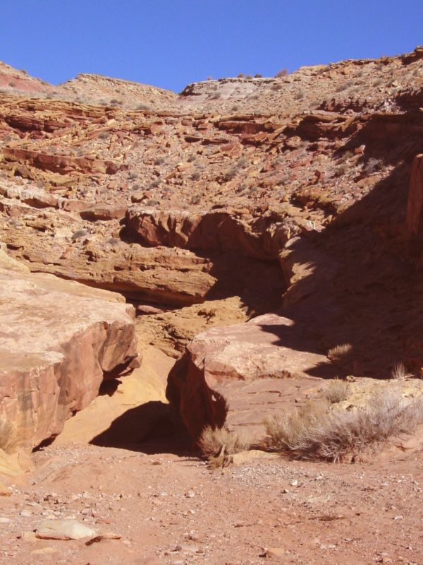 04160302LittleWildHorse (1013)